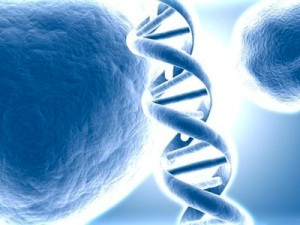 Революция в похудении за счет ДНК человека
