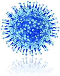 Ученые объединились в борьбе против гриппа