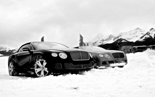 Bentley в поисках снега