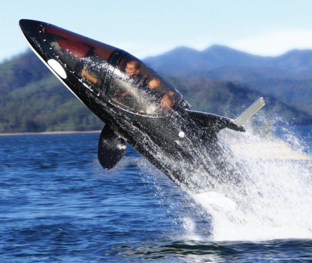 Субмарина Killer Whale нырнет за $ 100000