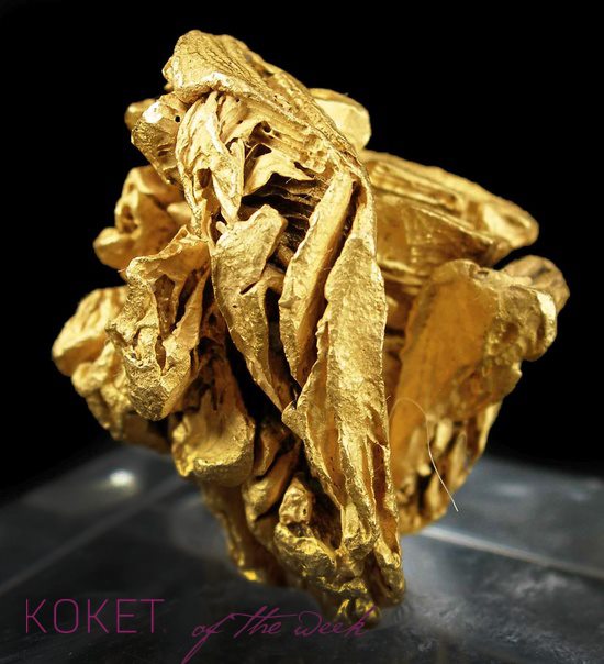 Магия золота от Koket