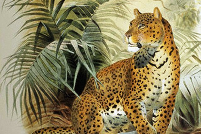 В начале XX века Жанна Туссен и Луи Картье одними из немногих европейцев участвовали в африканских сафари. Вернувшись из путешествия в Кению, Жанна начала увлекаться образом пантеры и его использованием в ювелирном искусстве.